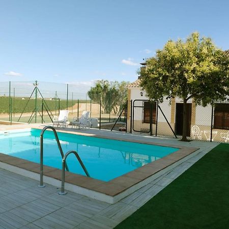 Alojamiento Rural Casa Los Arenales قرطبة المظهر الخارجي الصورة