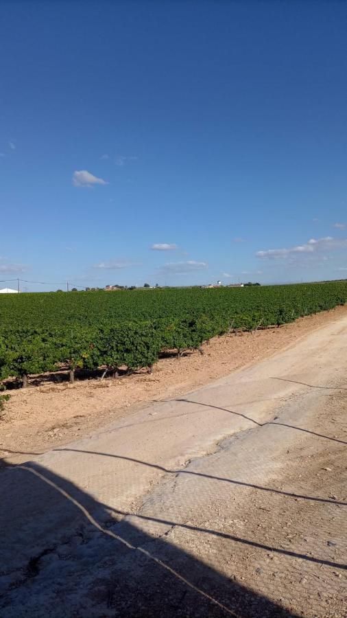 Alojamiento Rural Casa Los Arenales قرطبة المظهر الخارجي الصورة